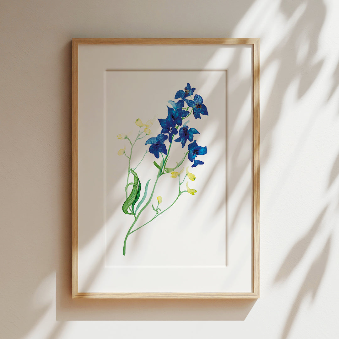 Delphinium Watercolour Giclée Fine Art Print