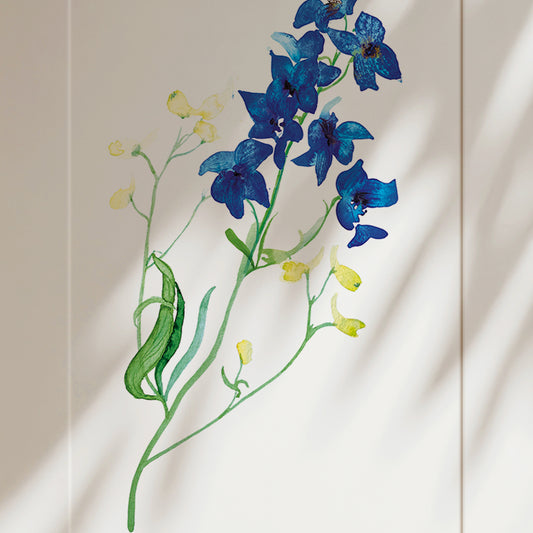 Delphinium Watercolour Giclée Fine Art Print