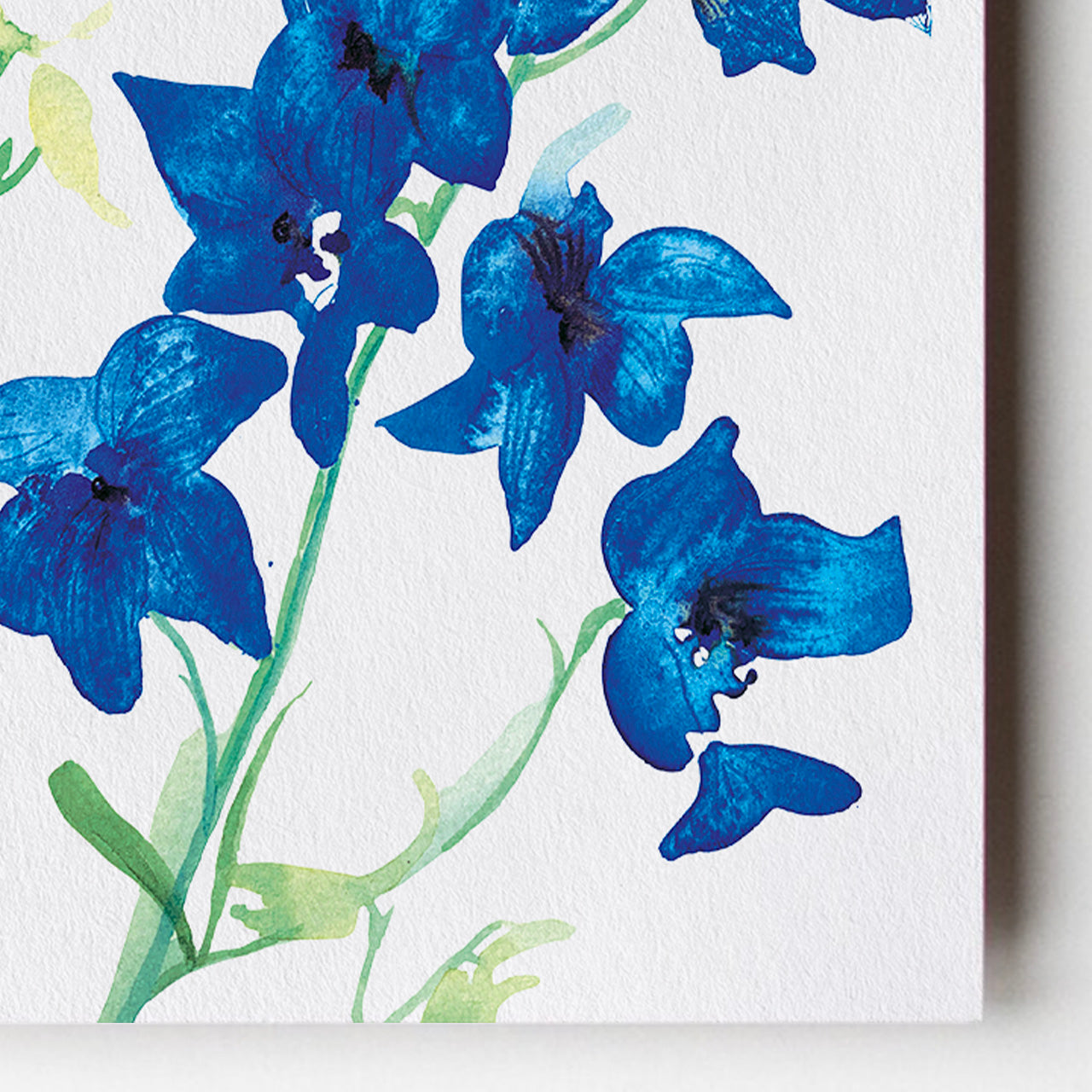 Delphinium Card