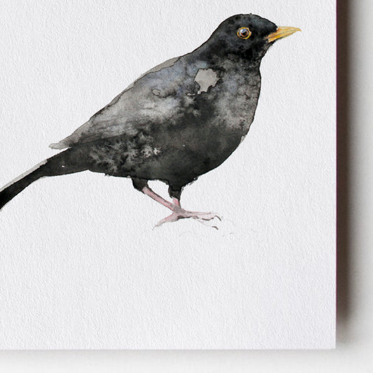 Black Bird Card