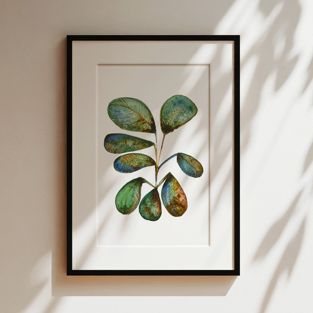 Plant Ink & Watercolour Giclée Fine Art Print
