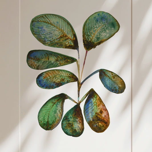Plant Ink & Watercolour Giclée Fine Art Print