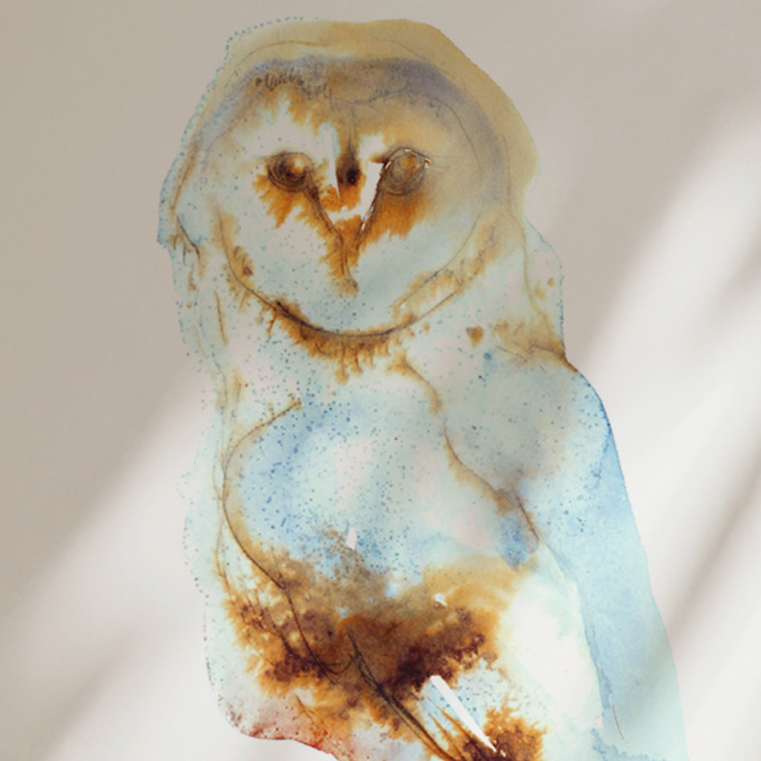 Barn Owl Ink & Watercolour Giclée Fine Art Print