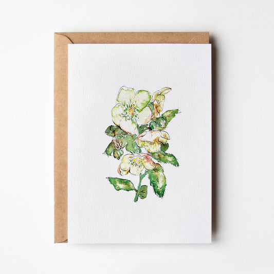 Green Hellebore Card
