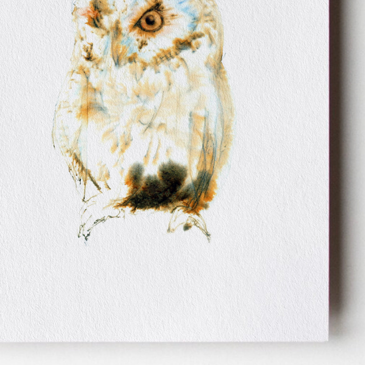 Striking Barn Owl Card