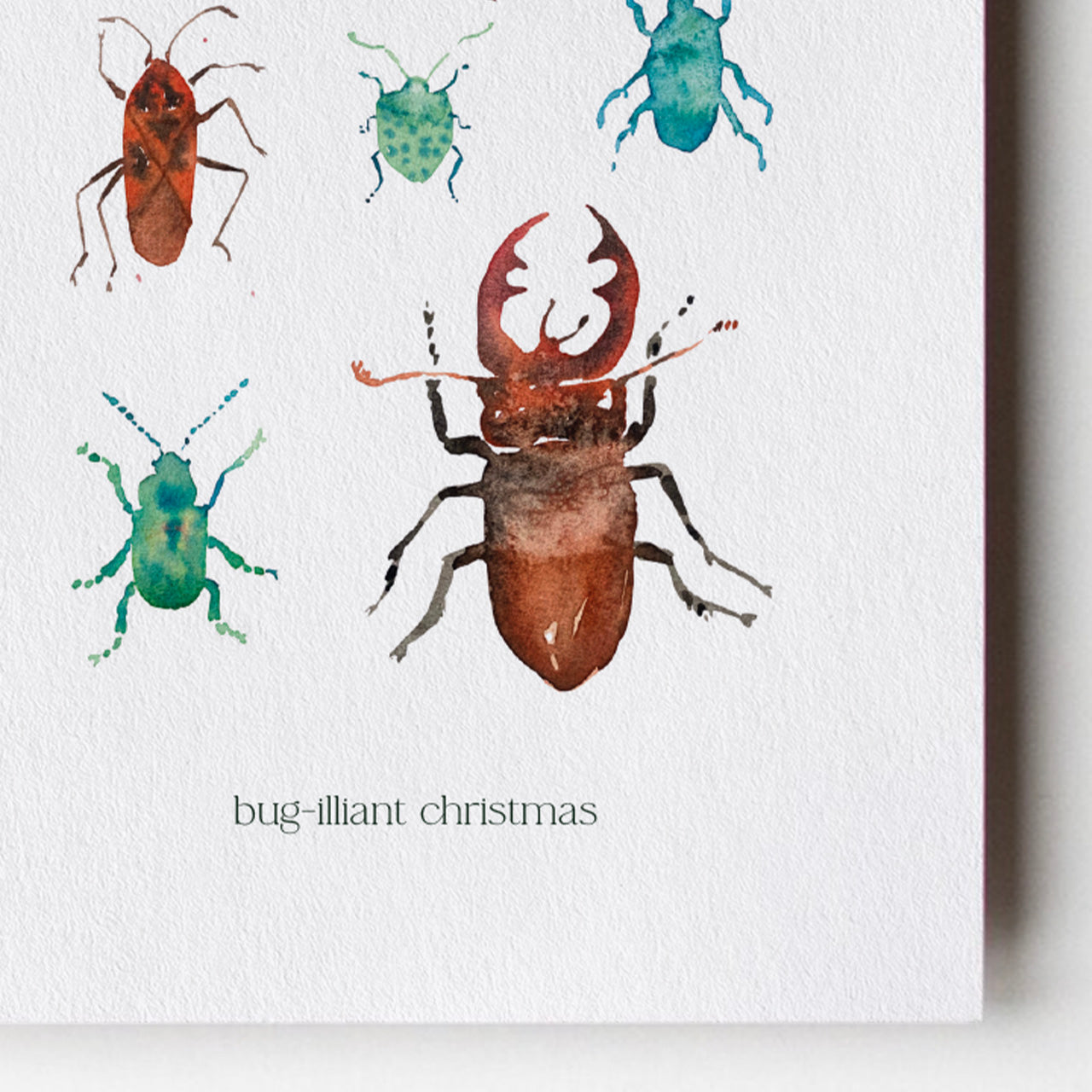 Bugs