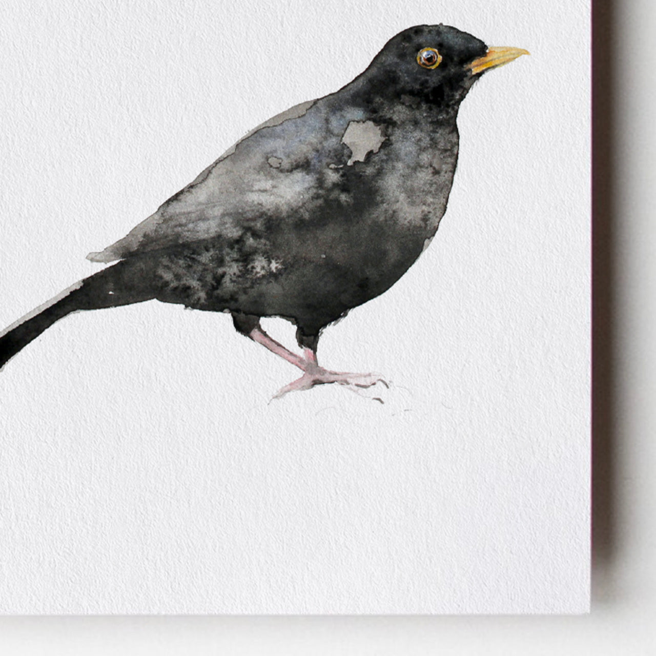 Black Bird Card