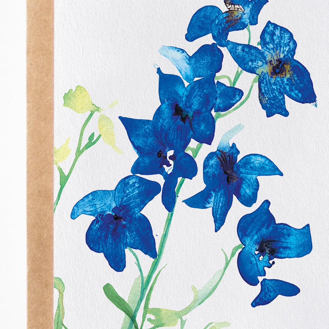 Delphinium Card